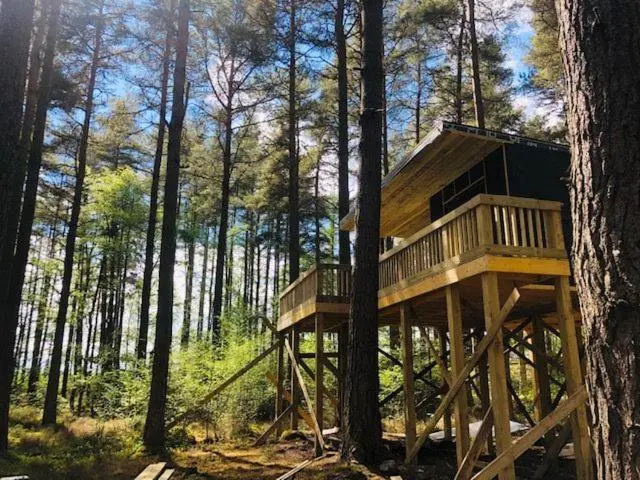 a tree house in the middle of the forest at Treetops at Wildwoodz Off grid treehouse No electricity in Allangrange Station