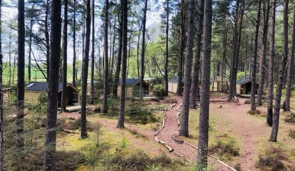 a view of a forest with houses and trees at Treetops at Wildwoodz Off grid treehouse No electricity in Allangrange Station