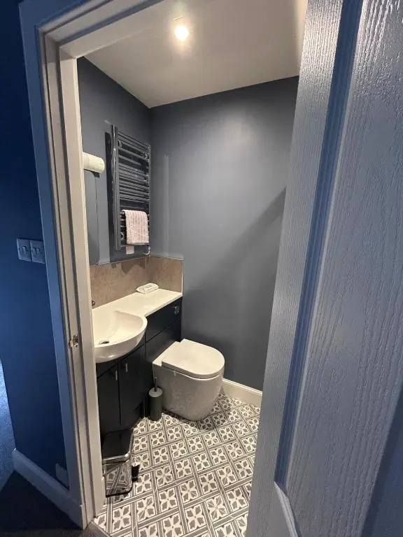 a bathroom with a toilet and a sink at Gruinard Guest House in Beauly