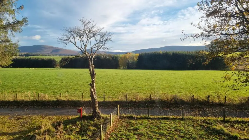 a tree in a field next to a fence at Struan Cottage in Knockandhu