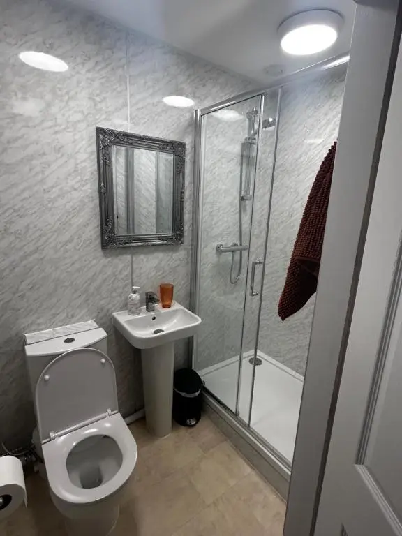 a bathroom with a toilet and a shower and a sink at The Barrel in Ballater