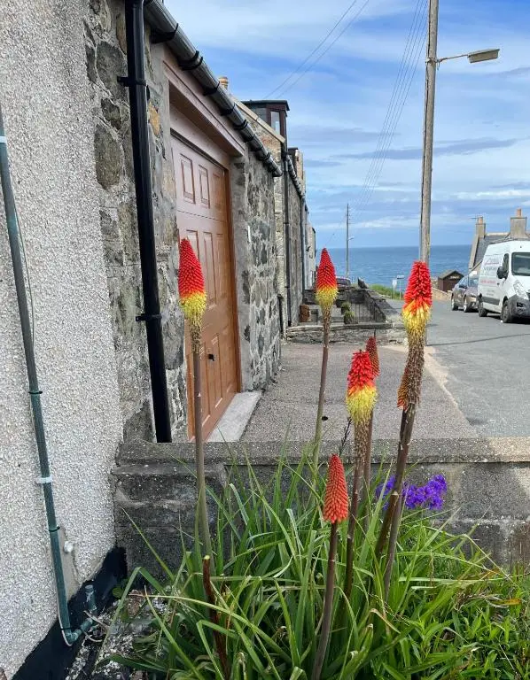 a group of flowers in front of a building at House By The Sea in Portsoy