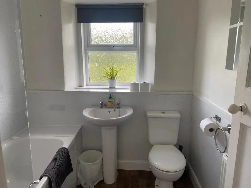 a bathroom with a toilet and a sink and a window at Alltachbeg in Tomintoul