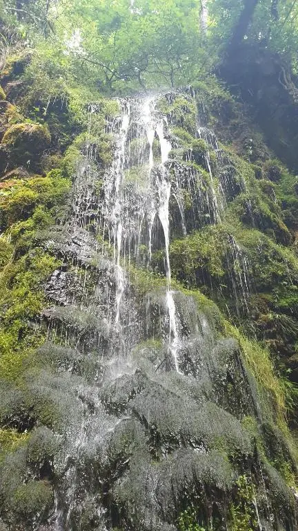 a waterfall on the side of a hill with grass at Tweed Apartment, Golspie in Golspie