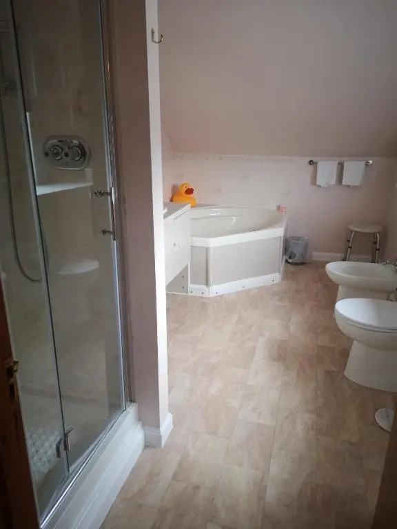 a bathroom with a shower and a sink and a toilet at Gladstone Cottage in Inverness