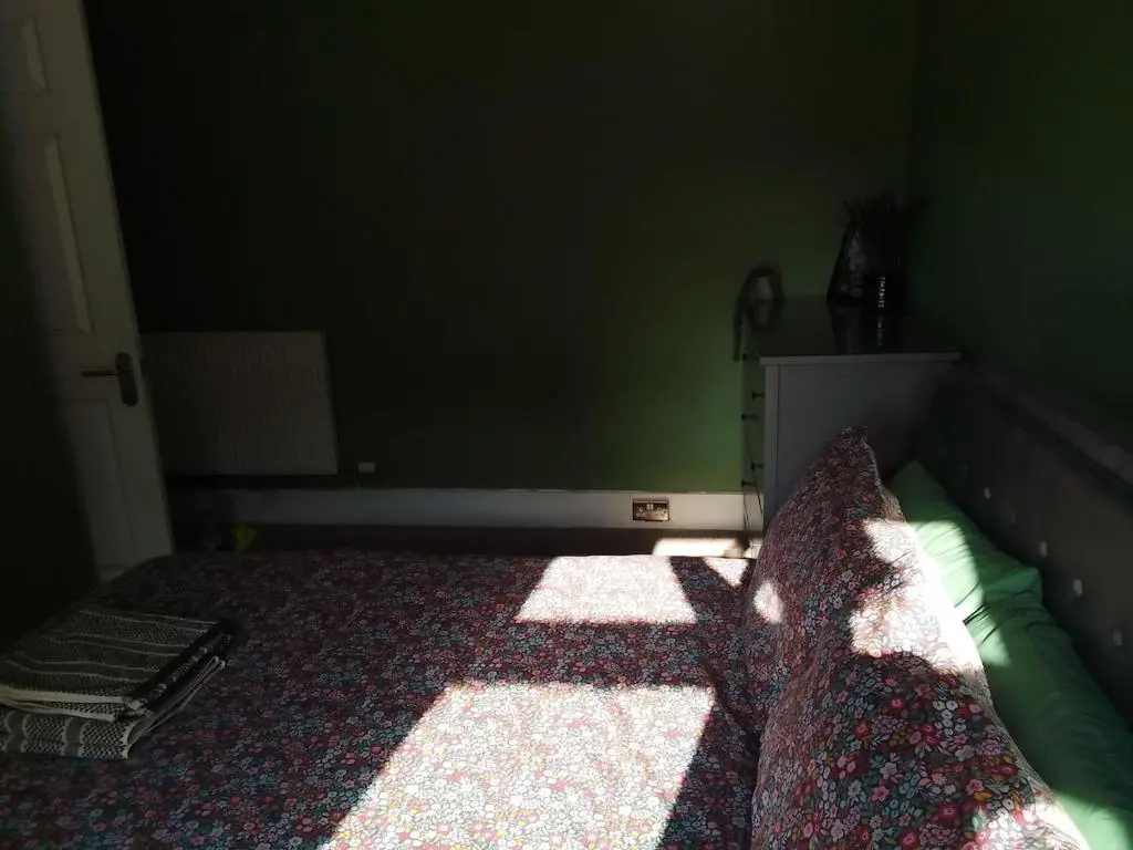 a bedroom with a bed with a green wall at Cosy Crown 1 bedroom flat for up to 4 guests in Inverness