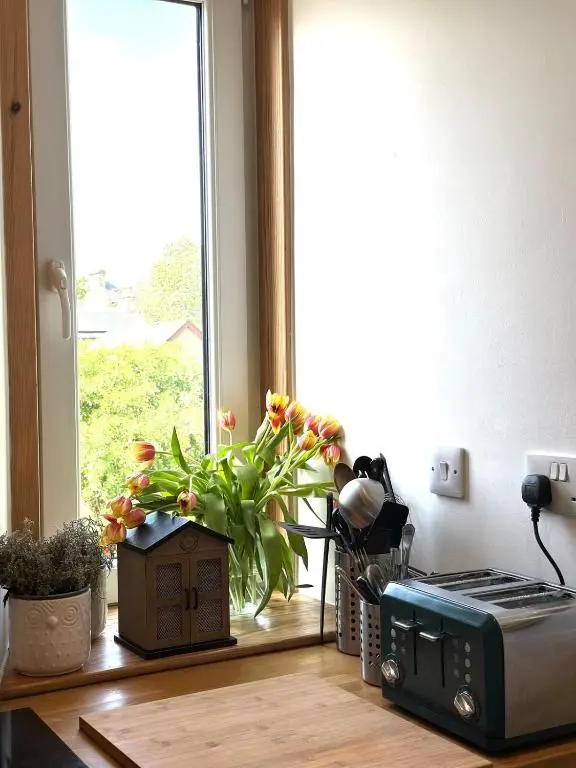 a kitchen with a window with a plant and a microwave at Serendipity The Apartment in South Kessock