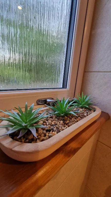 a window with two plants in a window sill at Bailem Lodge at Loch Ness ADULTS ONLY in Fort Augustus