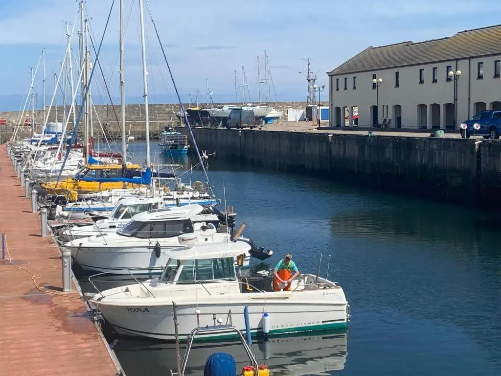 a group of boats docked in a harbor at J4 Lossiemouth Bay Caravan Park in Lossiemouth