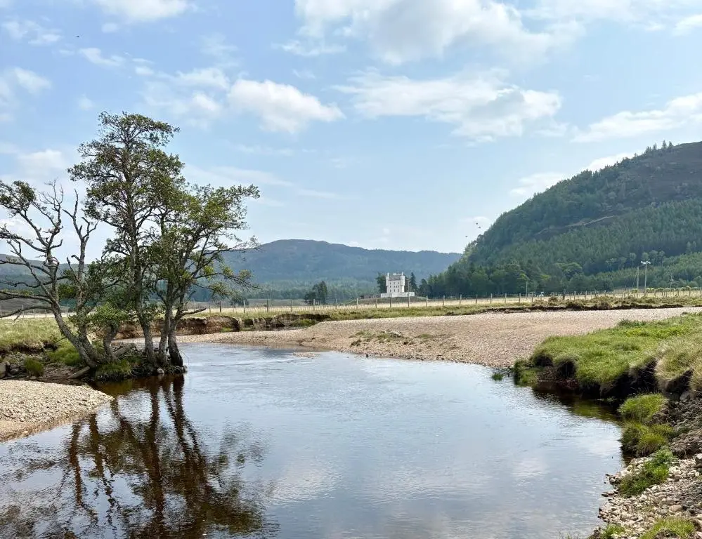 a river with a tree in the middle of a field at The Studio at Rannagowan in Ballater