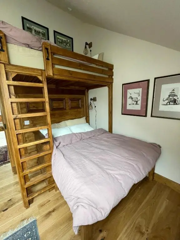 a bedroom with a bunk bed with a ladder at Church Brae in Tomatin