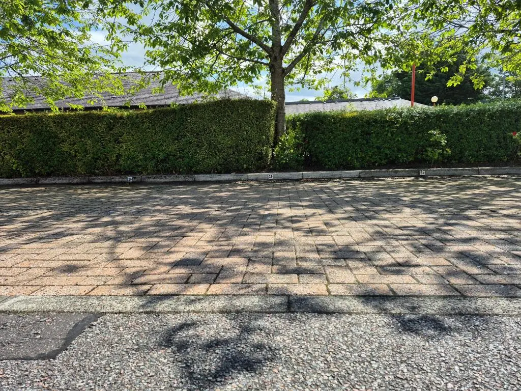 a brick driveway with a tree and a hedge at Riverside Gardens in Dalneigh