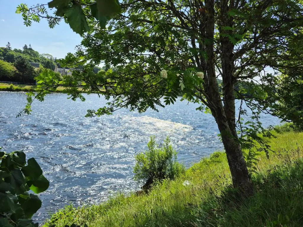 a tree in front of a body of water at Riverside Gardens in Dalneigh