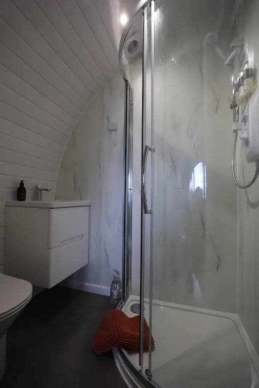 a bathroom with a shower with a sink and a toilet at Lochend Pods - Deas Pod in Inverlael