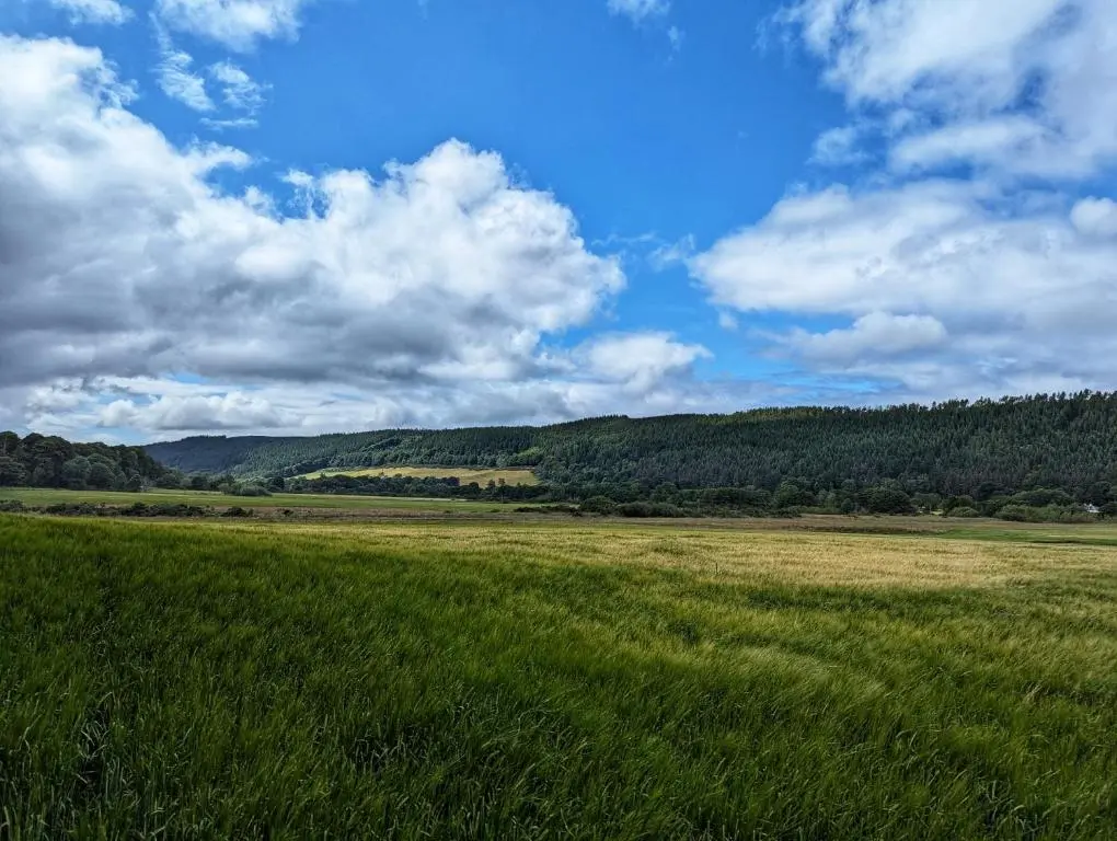 a field of grass with a blue sky and clouds at Logies Croft in Kellas
