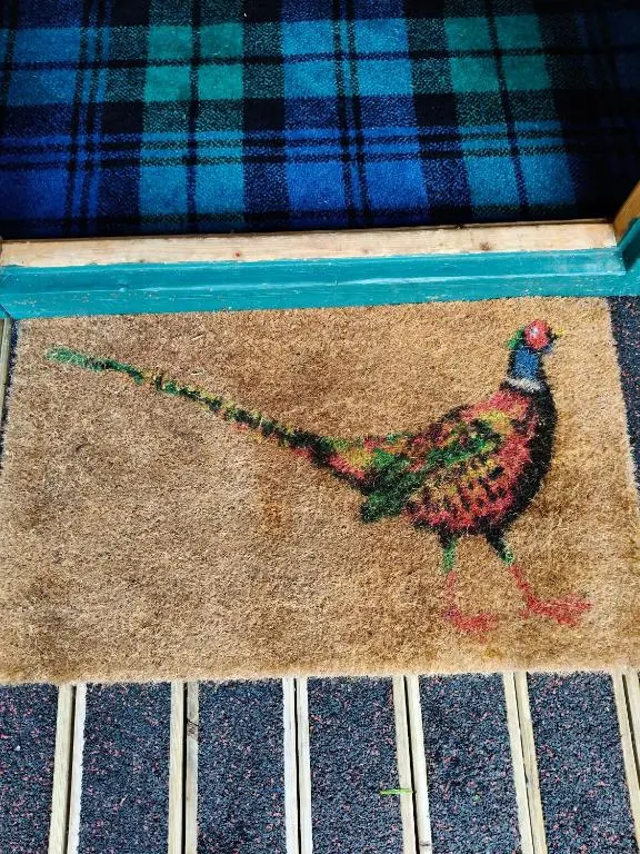 a painting of a chicken on a rug at Emili Fois in Tore