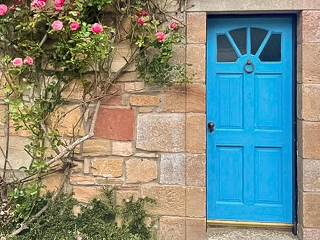 a blue door on a stone building with pink roses at The Cottage At Mains House in Tain