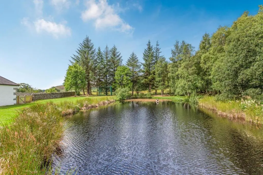 a view of a river with trees in the background at 2 Bed in Newtonmore oc-e32418 in Newtonmore