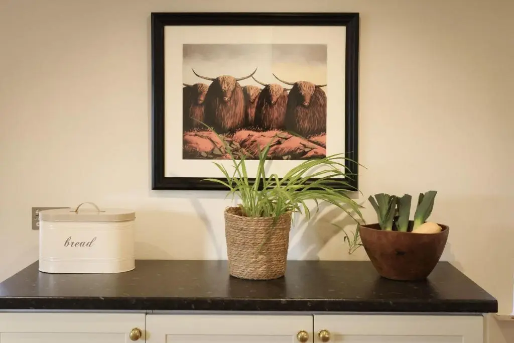 two plants on a counter with a picture on the wall at Relugas Mill in Forres