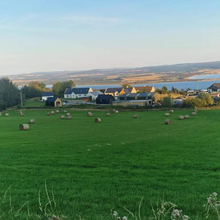 a field of green grass with a herd of animals at Temuka Lodge in Glenurguhart