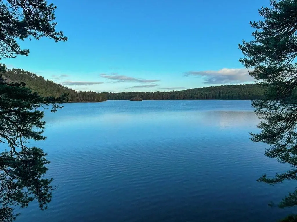 a large body of water with trees in the background at Lodge 58 in Aviemore