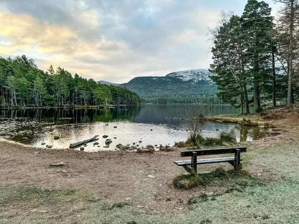a bench sitting on the shore of a lake at Lodge 58 in Aviemore