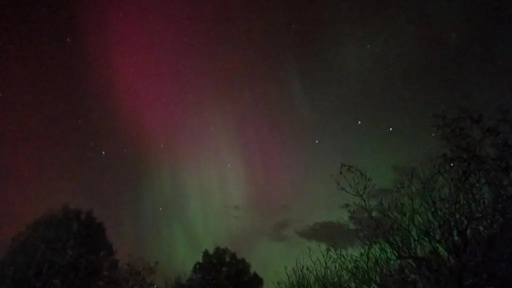 an aurora in the sky at night with trees at The Loft Glamping & Camping in Kinloss