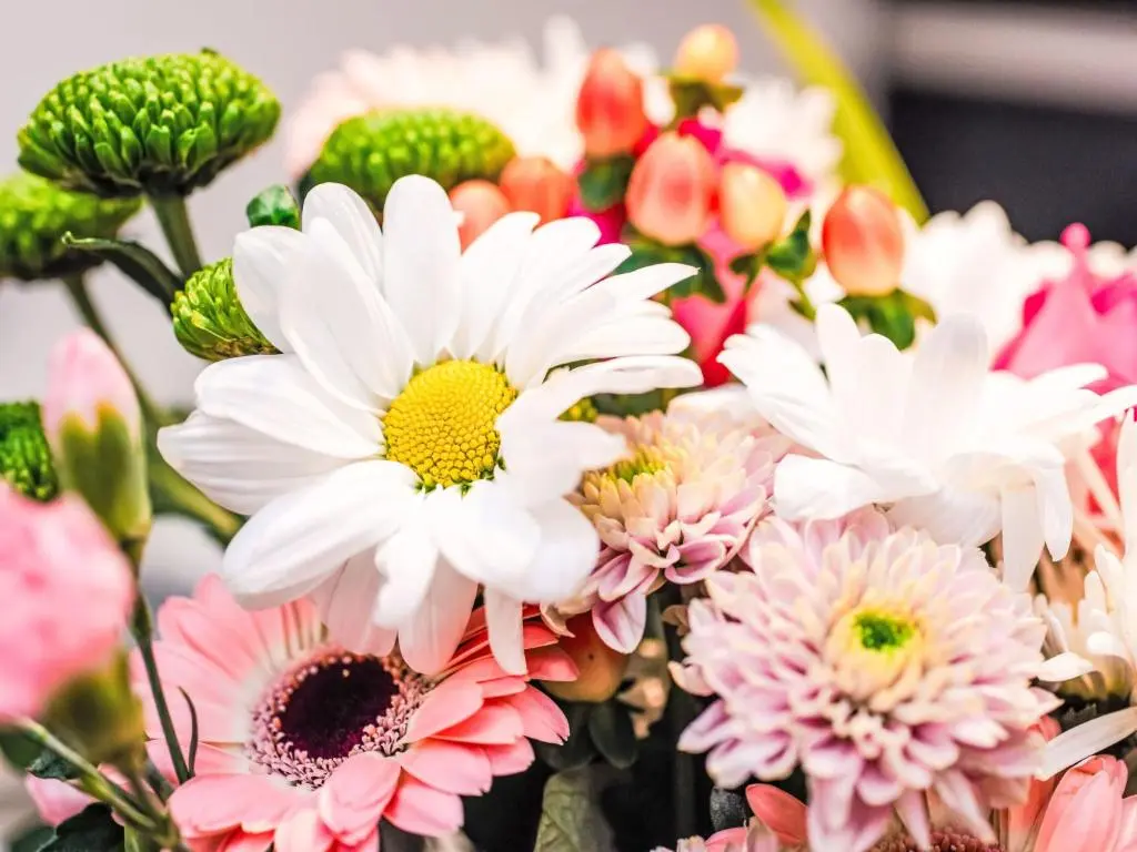 a bunch of pink and white flowers in a vase at Apartment Fishertown Apartment 1st Floor by Interhome in Nairn