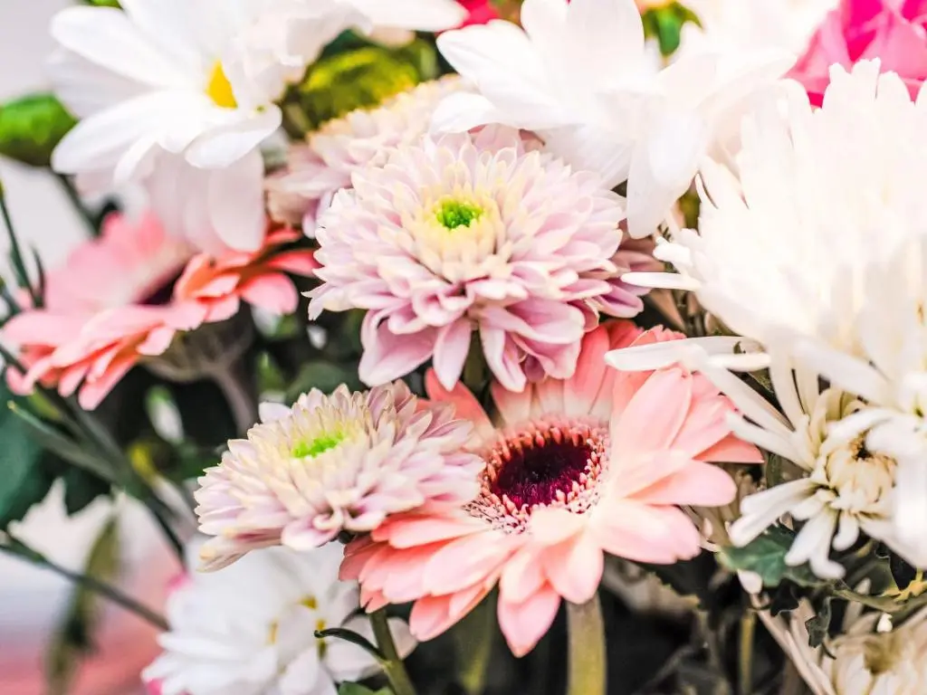 a bunch of pink and white flowers in a vase at Apartment Fishertown Apartment 1st Floor by Interhome in Nairn