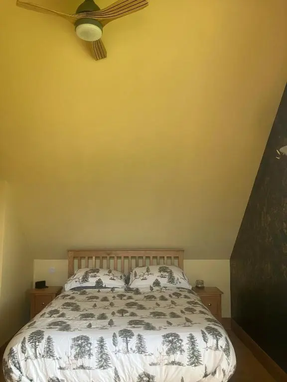 a bedroom with a bed with a ceiling fan at Dalvourn West Wing , Farr by Inverness in Tordarroch
