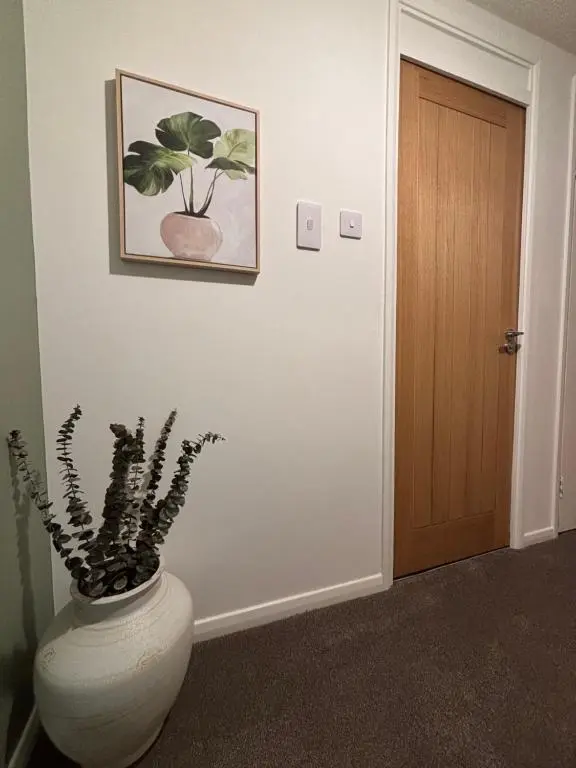 a vase with a plant in it next to a door at Number Sixteen in Kildary