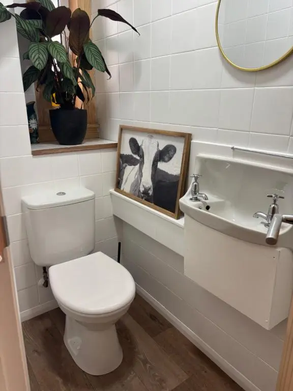 a bathroom with a toilet and a sink and a picture of a cow at Number Sixteen in Kildary