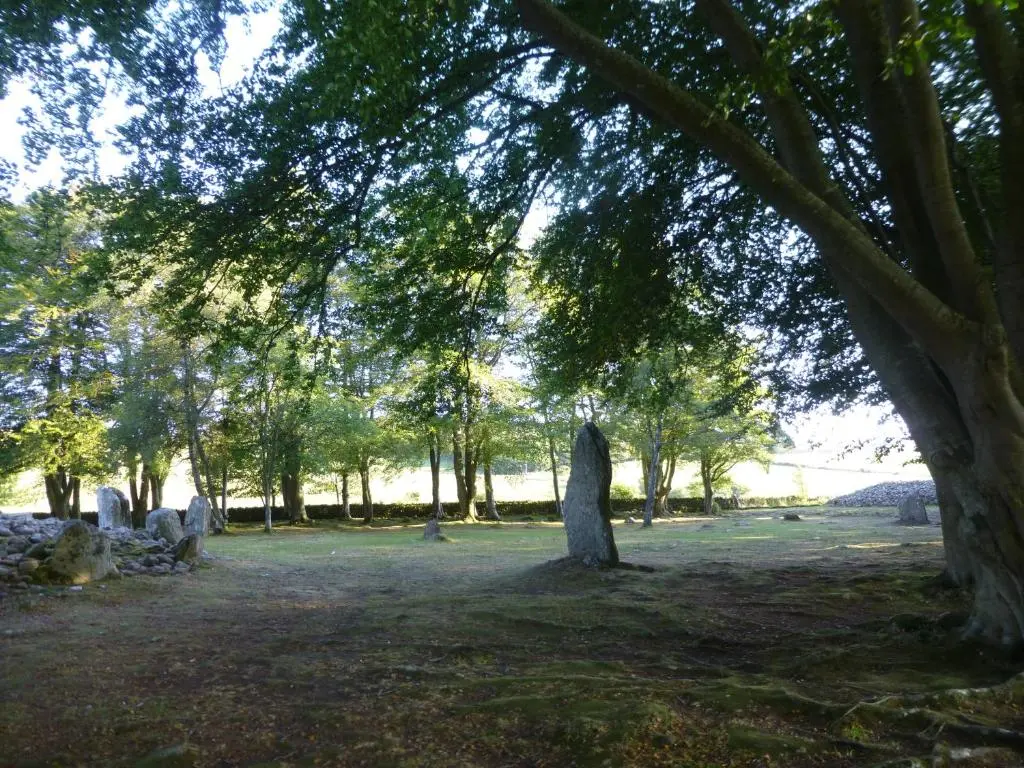 a group of trees and stones in a park at By the Brae in Inverness
