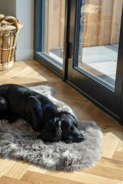 a black dog laying on a rug in front of a door at Muckle View in Gardenstown