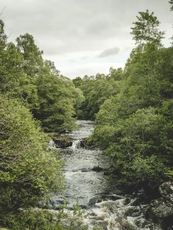 a river flowing through a forest with trees at Phils House in Lairg