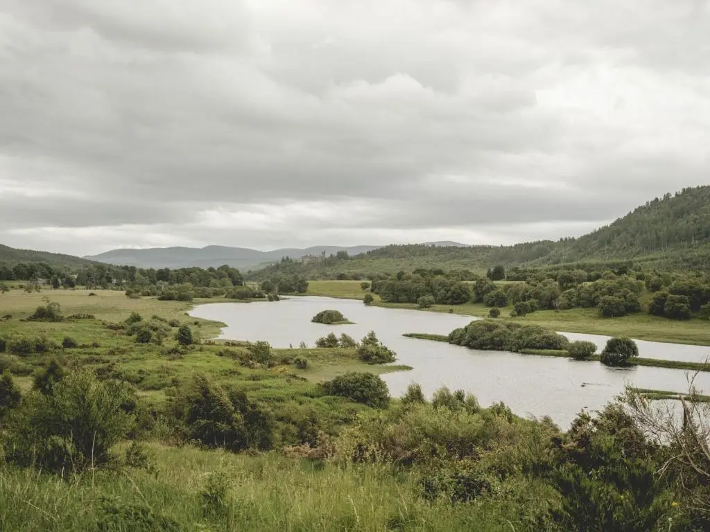 a river in the middle of a field with trees at Phils House in Lairg