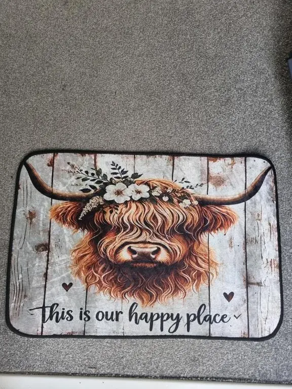 a picture of a cow with a flower on its head at Highland Breeze Inverness in Inverness