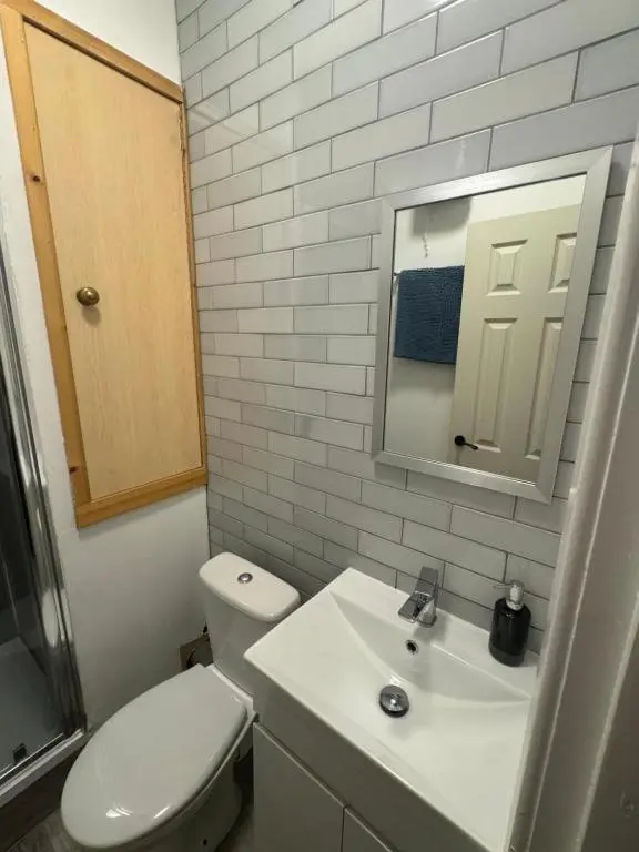 a bathroom with a toilet and a sink and a mirror at Stephen's Brae Apartment, Inverness City Centre in Inverness