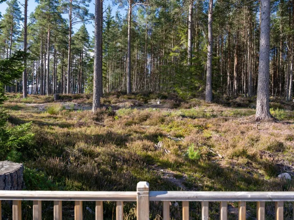 a wooden fence in the middle of a forest at Apartment Hazel Bothy by Interhome in Coldstone