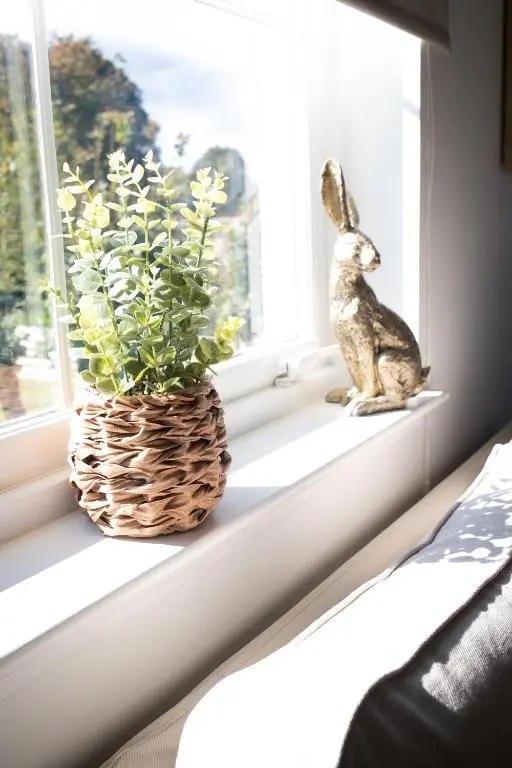 a rabbit sitting on a window sill next to a potted plant at Lillymont Apartment - Inverness City Centre in Inverness