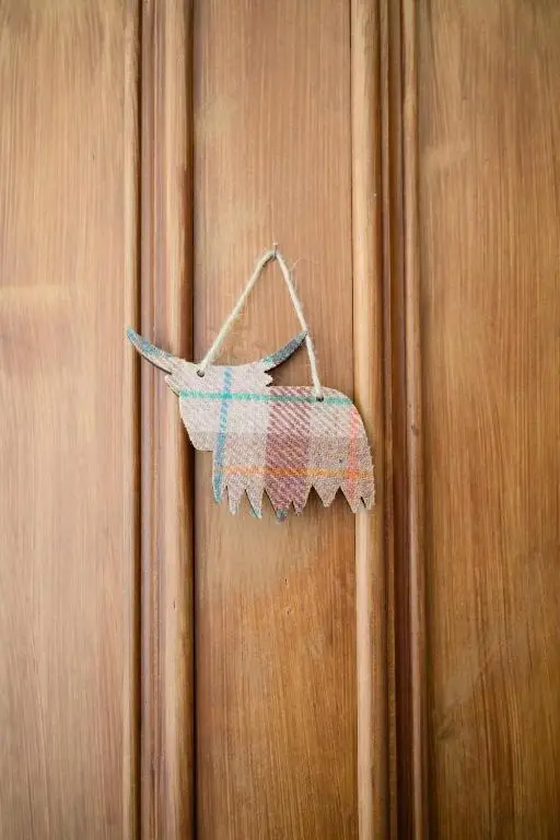 a towel hanging on a wooden door at Crown Jewel - Inverness City Centre in Inverness