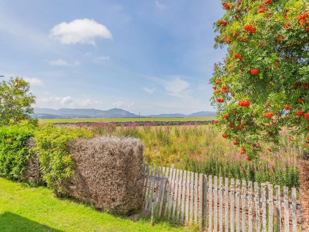 a fence in a field with a tree and flowers at Sunny Firth in Tain