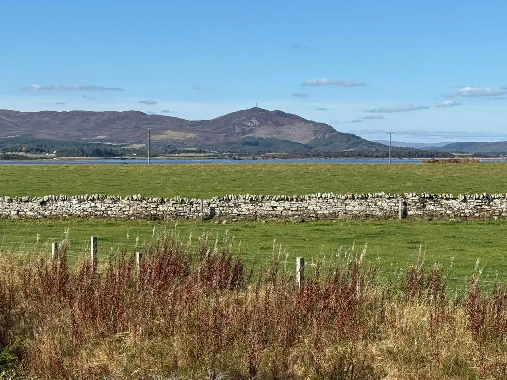 a herd of sheep in a field behind a fence at Sunny Firth in Tain