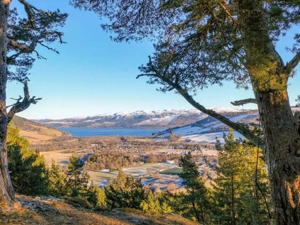 a view from the top of a hill with trees at Holiday Home Highland View by Interhome in Drumnadrochit