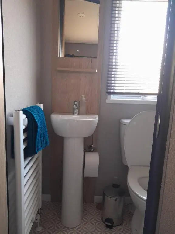 a bathroom with a sink and a toilet at The Rowan in Boat of Garten