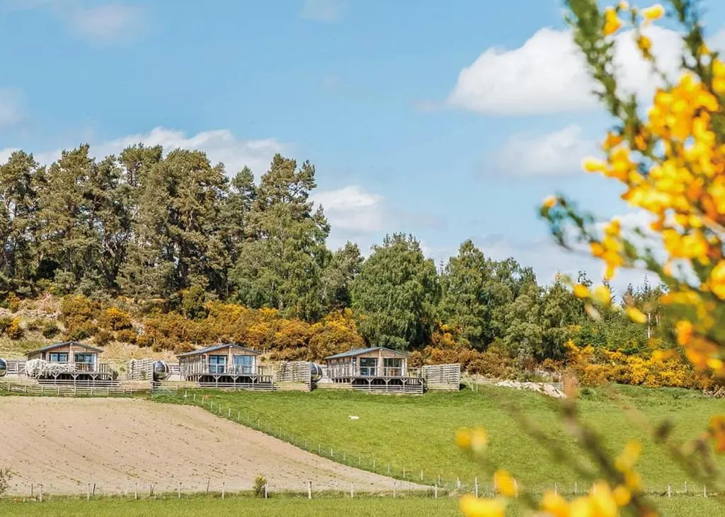 a row of cottages on a hill with trees at Kessock Highland Lodges in Tore