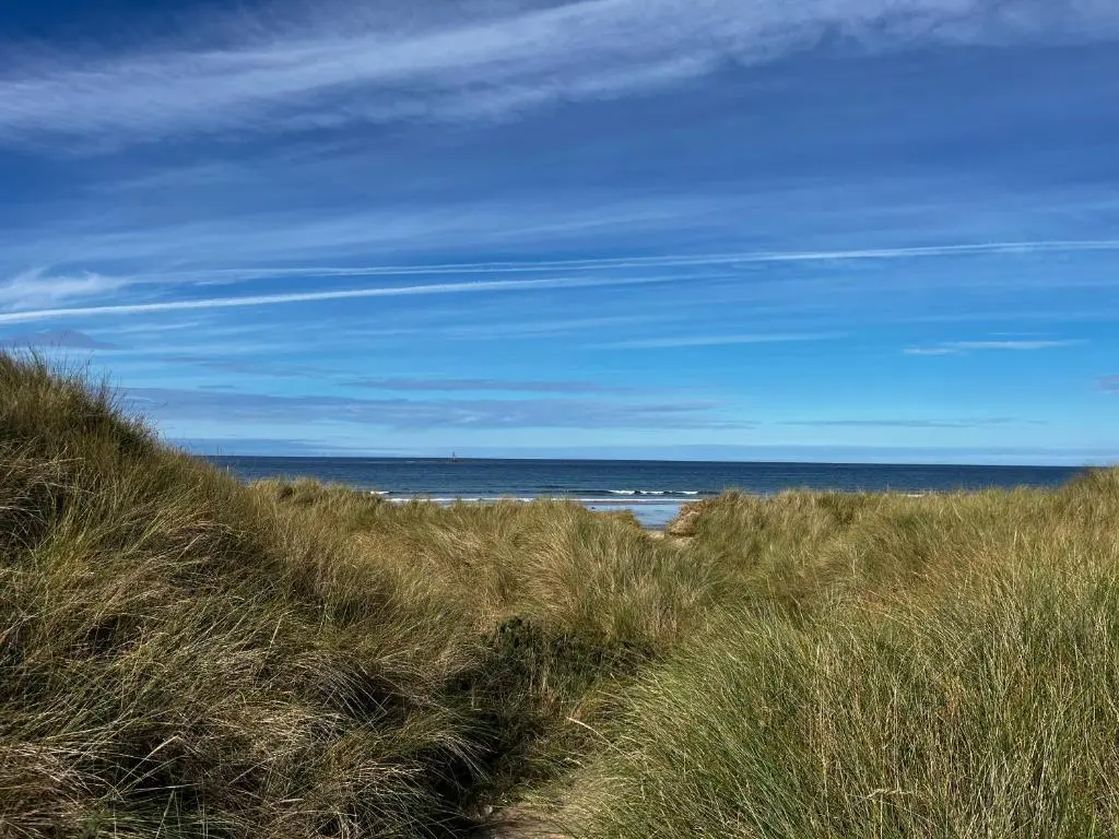 a beach with grass and the ocean in the background at Sand Dollar, Silver Sands Holiday Park in Lossiemouth