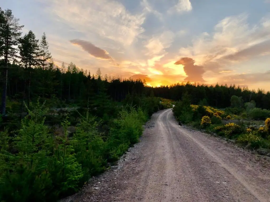 a dirt road with the sunset in the background at Wynstone Cottage, Speyside in Fochabers