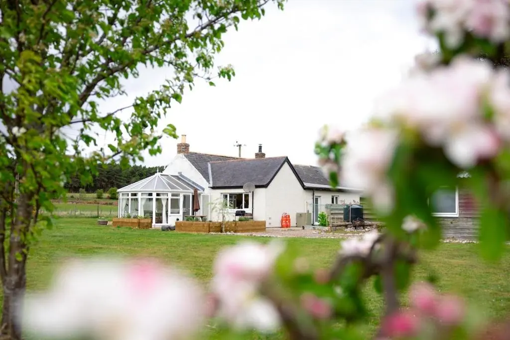 a white house with a yard with pink flowers at Wynstone Cottage, Speyside in Fochabers