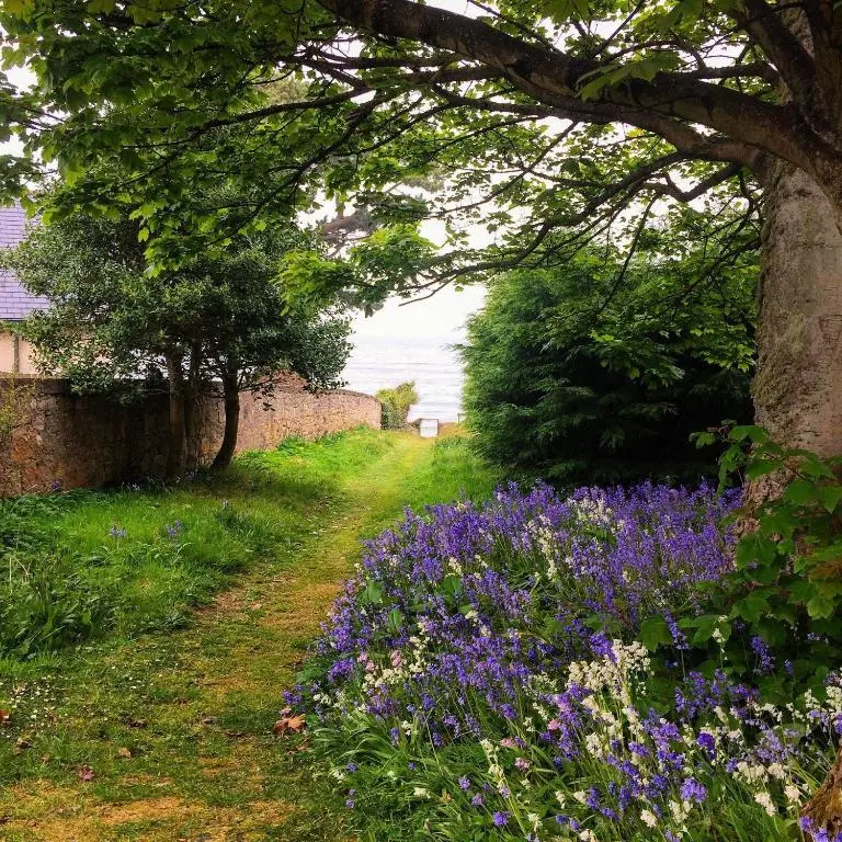 a garden with purple flowers next to a wall at The Penthouse Self Catering in Nairn